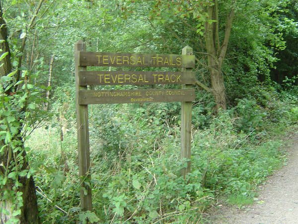 teversal_trail_2008_4