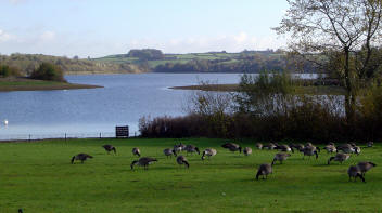 Carsington Water